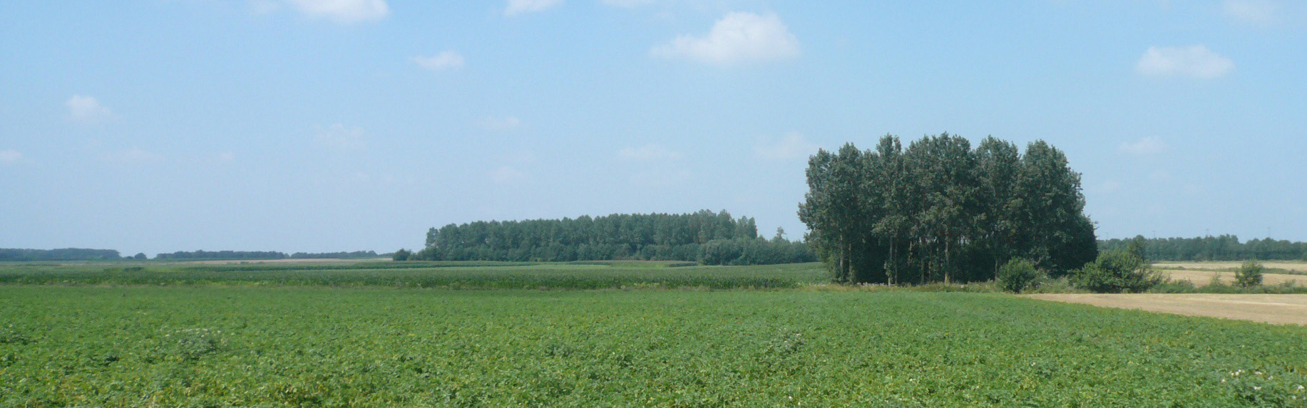 Bois du Quesnoy et Solem. 9 ao�t 2012